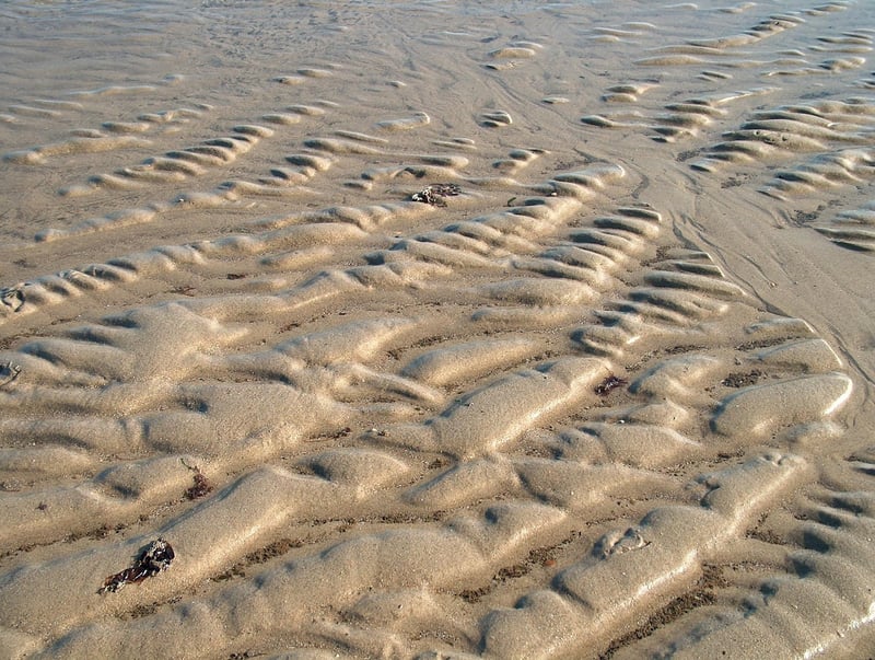 Simple & Chic Design